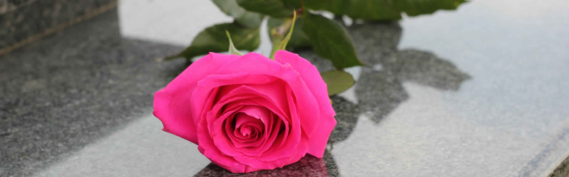 Rosa per decorazione lapidi e funerali